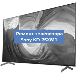 Замена светодиодной подсветки на телевизоре Sony KD-75X81J в Нижнем Новгороде